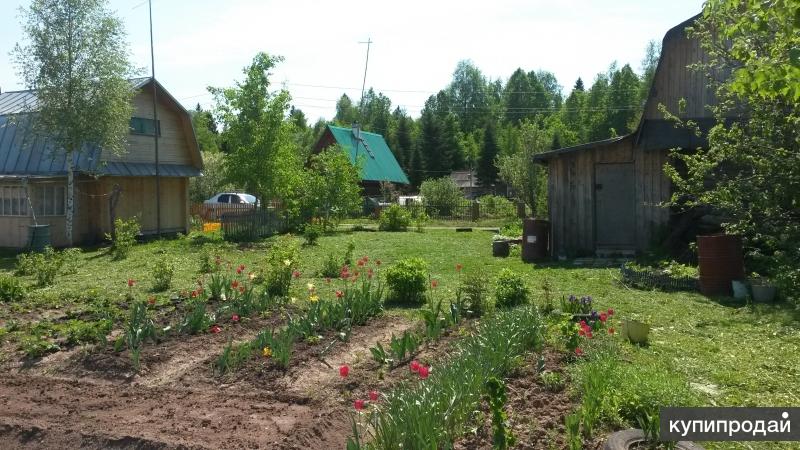 Купить Сад В Перми Недорого