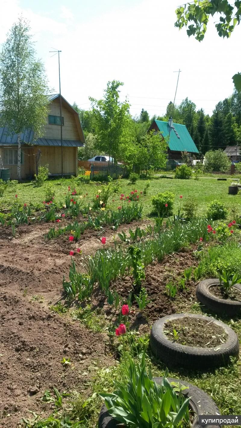 Купить Дачу В Васильево Недорого