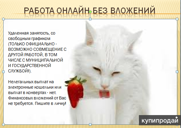 Peкрутер в интepнет магазин