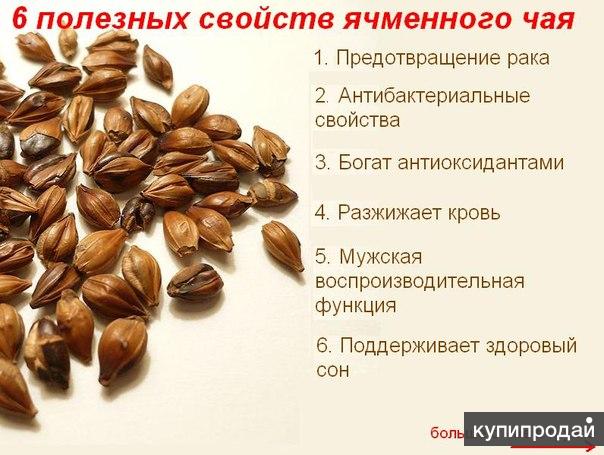 Ячмень польза. Доклад про ячмень. Ячмень описание. Полезные свойства ячменя. Голд ячмень.