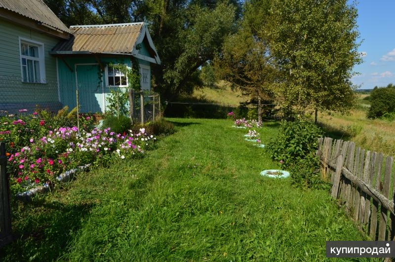 Жуковка дачи. Жуковка Рыбинск. СНТ Жуковка Рыбинск. Дача Жуковка. Жуковка Рыбинск 1 массив.