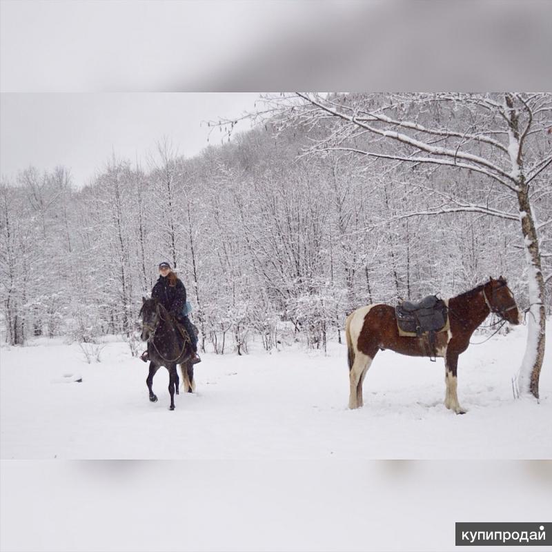 Конный туризм адыгея. Гузерипль конные прогулки. Гуамка конные прогулки. Конные прогулки сукко. Конные прогулки анапа сукко.