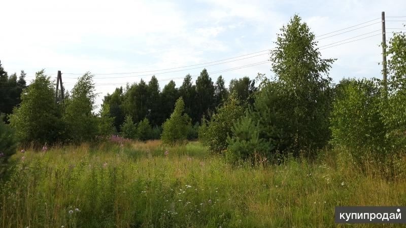 Продам земельный участок в с.Охотино, Мышкинский район, Ярославск.обл., 77,8 сот