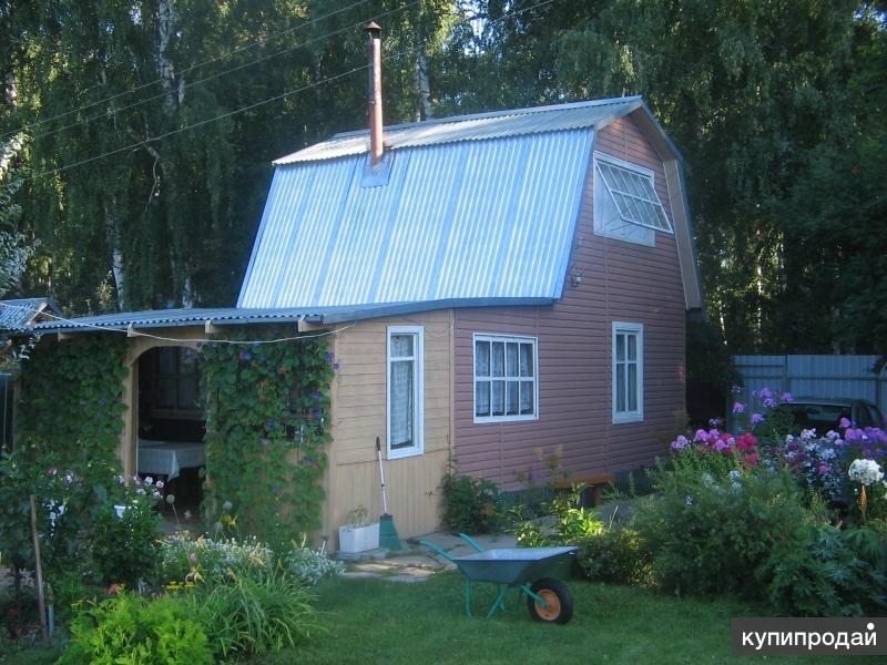 Строитель дачное. Дачи в СНТ Восток Академгородок. СНТ Строитель Новосибирск Академгородок сайт. СНТ Восток Новосибирск Академгородок сайт. Дачи в Новосибирске.