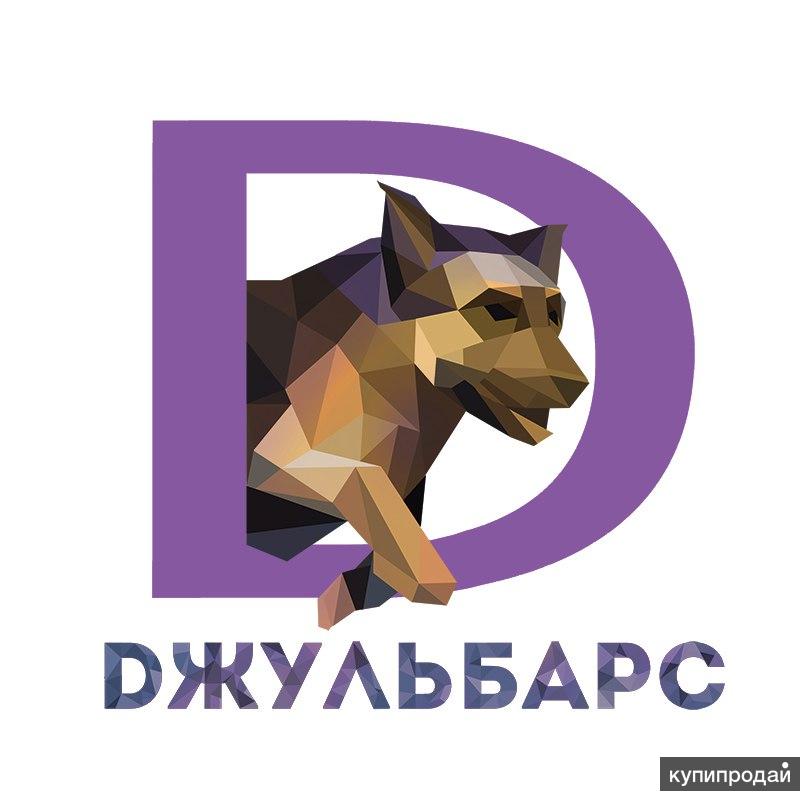 Дрессировка собак