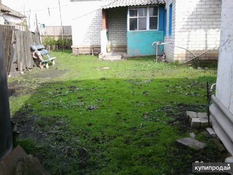 Показать фото погода в платаве репьевском районе