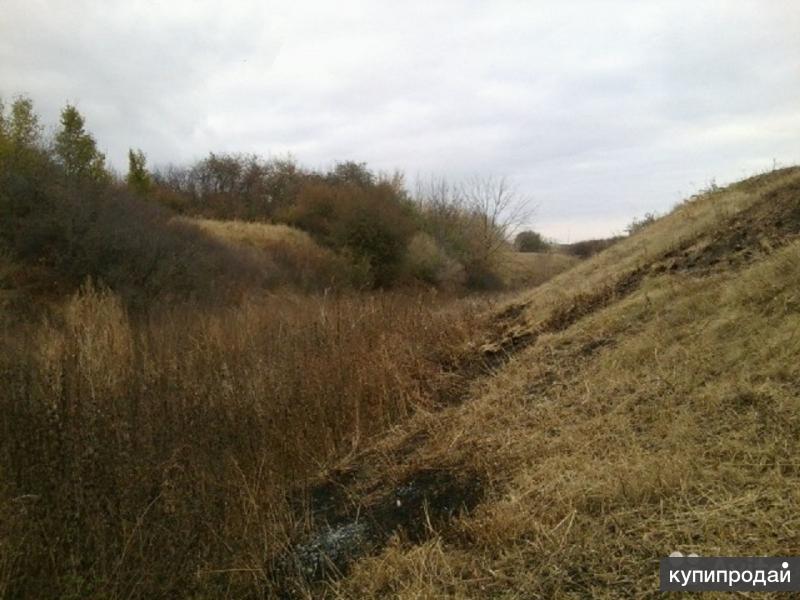 Показать фото погода в платаве репьевском районе