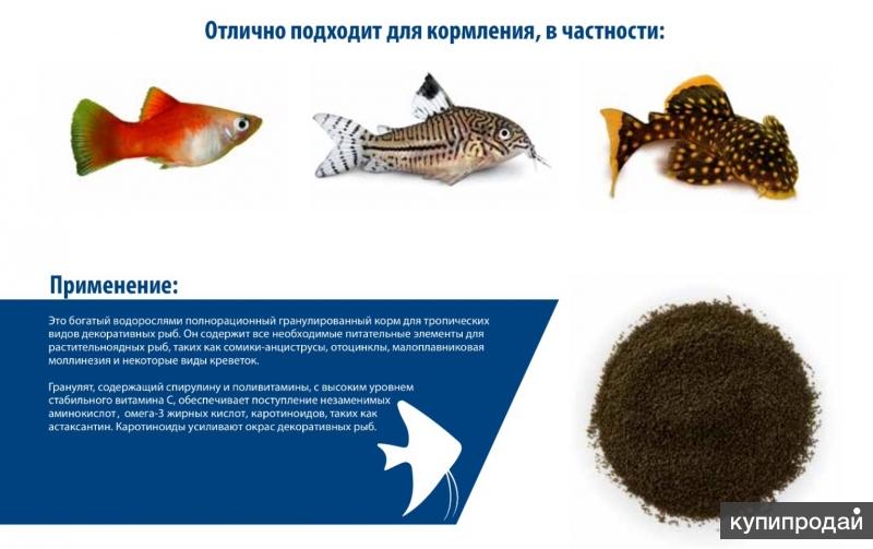 Коппенс Корм Для Рыб Купить