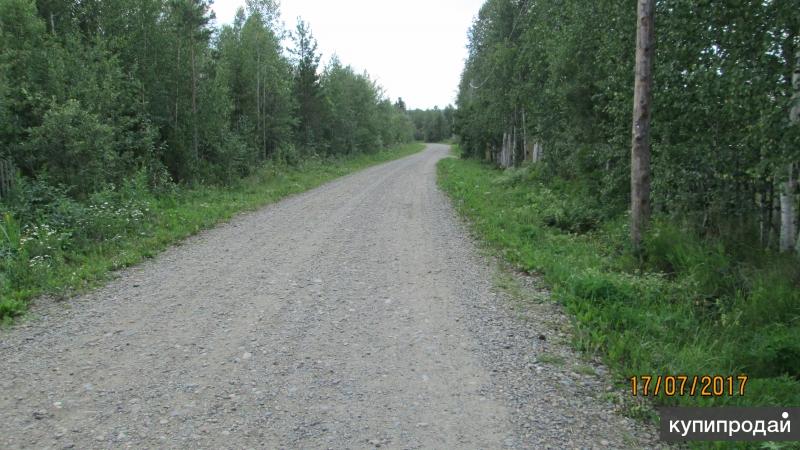 Крючково красноярск. Крючково озеро. Дорога на Крючково Красноярск. Оз в Крючково.