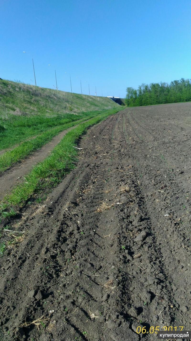 Купить Земельный Участок Сельхозназначения В Краснодарском Крае