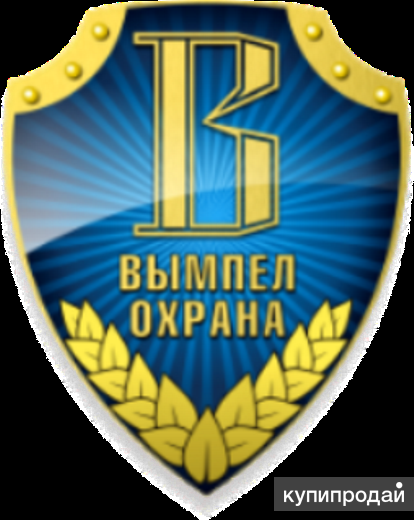 Профессионая охрана