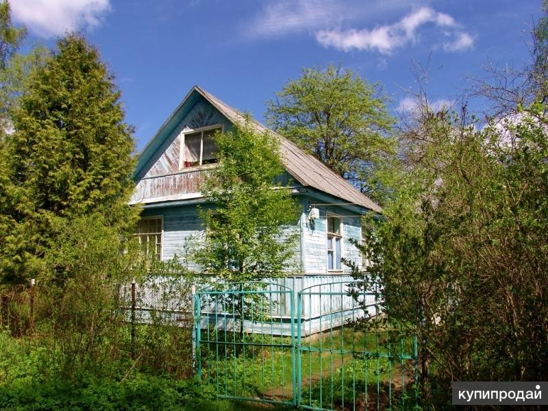 Купить Участок В Белоострове Недорого