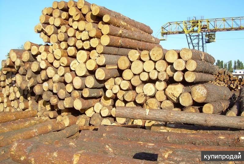 Как правильно хранить пиломатериал - Стройтовары.Москва