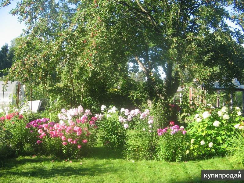 Купить Дачу В Академгородке Новосибирск
