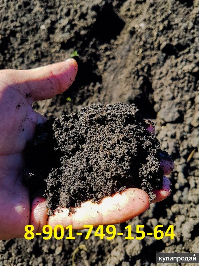 Плодородные грунты в москве. Плодородные грунты в москве. Грунт плодородный 250 литров. Чернозем. Чернозём перегной навоз камаз.