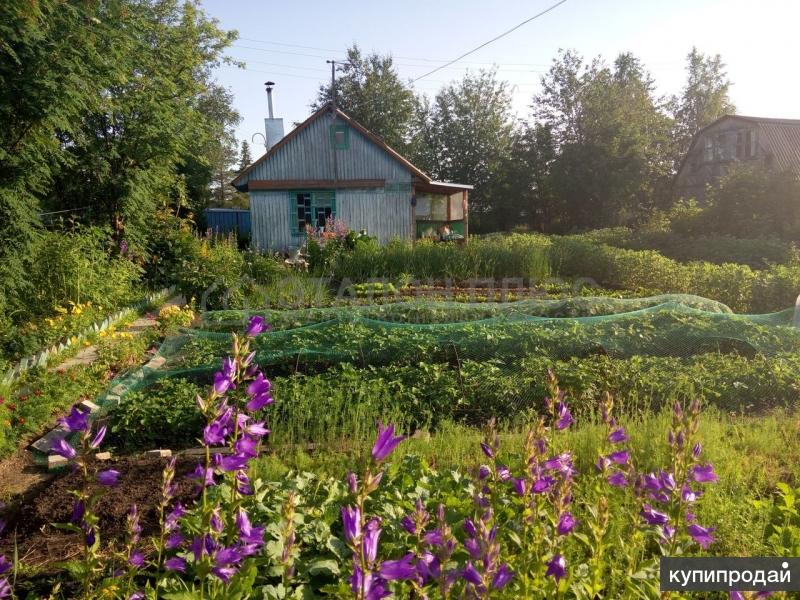 Дачи Мегион Купить Свежие Объявления