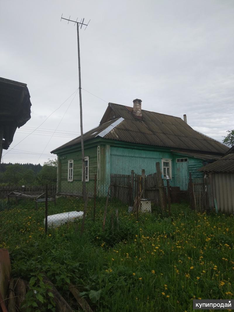 Деревня касня вяземского района. Вязьма касня. Касня вяземский район. Станция касня. Смоленская область деревня касня.