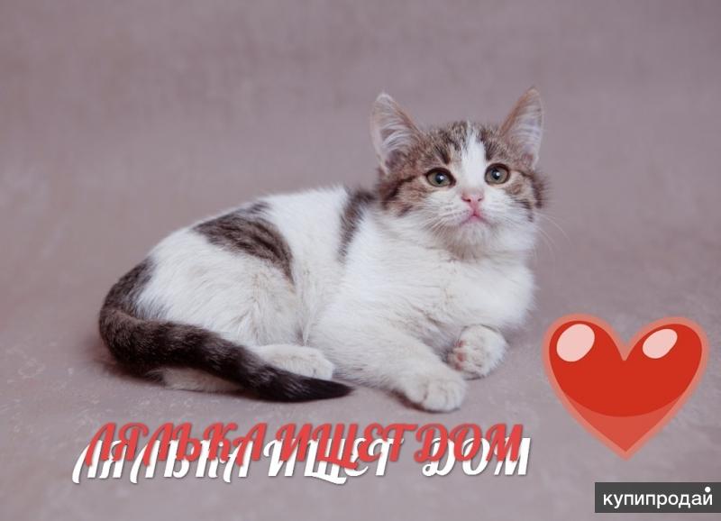 ЛЯЛЕЧКА ждет мампап