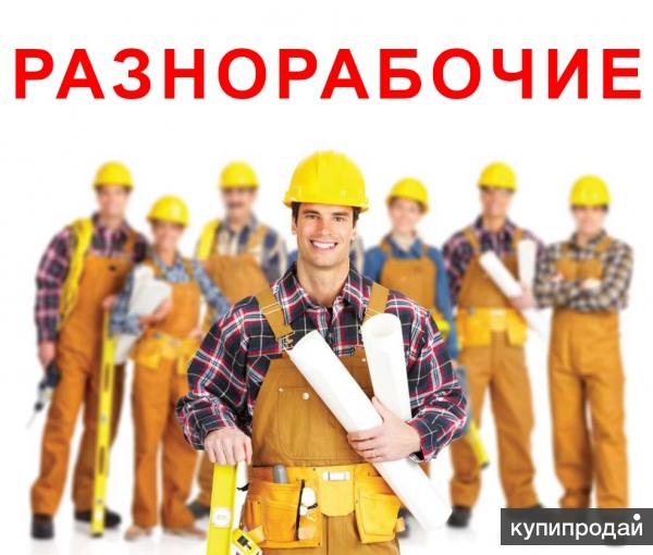 Грузчики, Разнорабочие