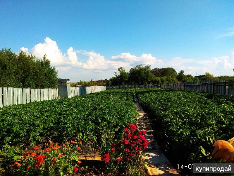 фото продается участок. колтушское сельское поселение коттеджный пос берёзовка. речное раздолье д радищево чудовского района. шевченко д. речное раздолье д радищево чудовского района.