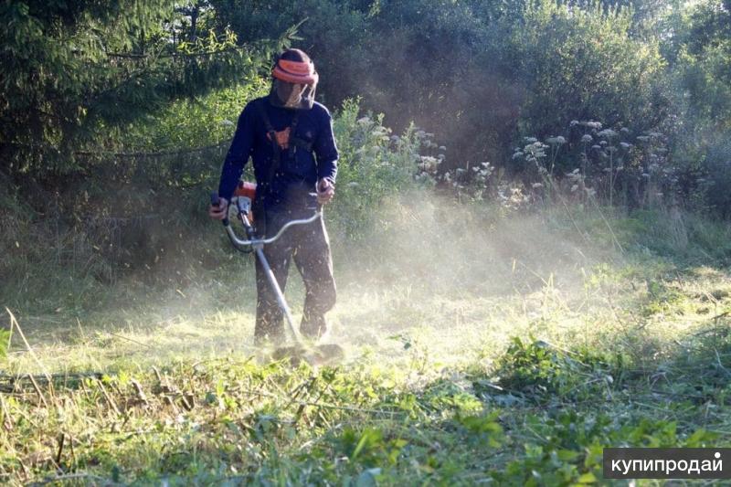 Покос травы, благоустройство участков, дачные работы