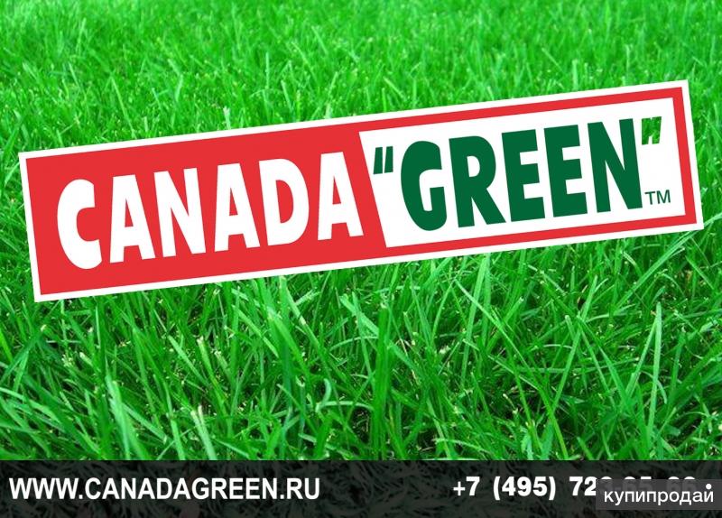 Канада грин газонная трава. Травосмесь Канада Грин. Canada Green газонная трава. Лужайка Канада Грин. Газон Канада Грин трава газонная.