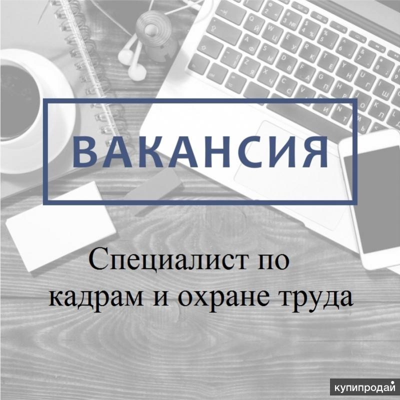 Дом кадров вакансии. Требуется специалист по кадрам. Ищем специалиста по кадрам. Требуется специалист по кадрам картинка. Картинка ищем специалиста по кадрам.