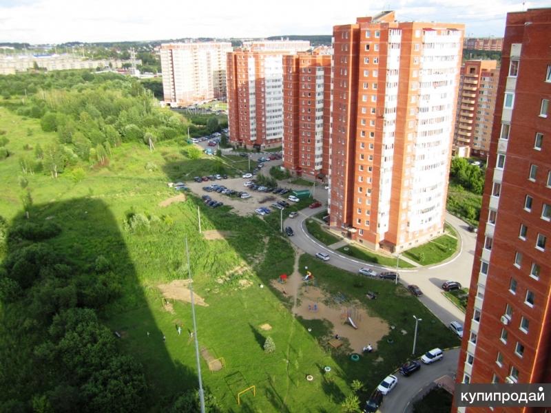 Ул белоброва дмитров. Улица архитектора Белоброва Дмитров. Микрорайон ДЗФС Дмитров. Белоброва 11 Дмитров.