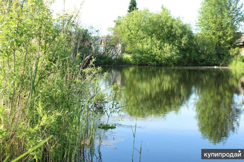 Купить Дачу Возле Водоема