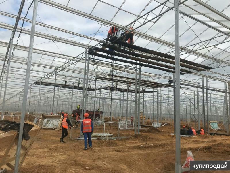 теплицы щекино.