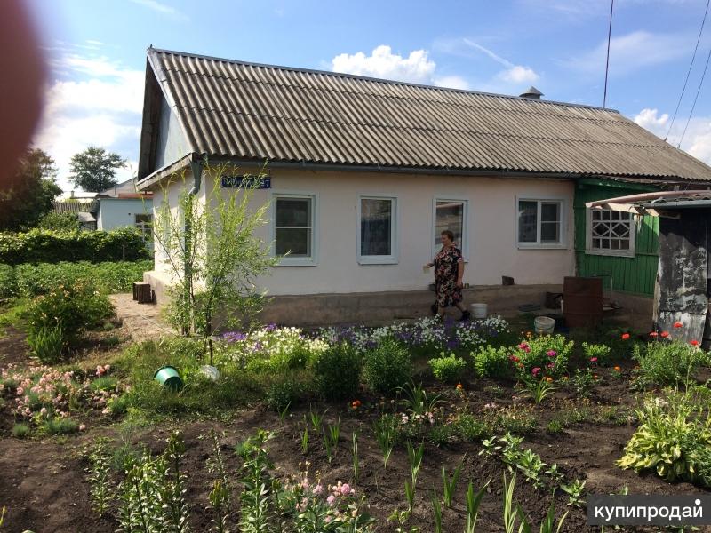 Волово авито дома. Панарино Тульская область.