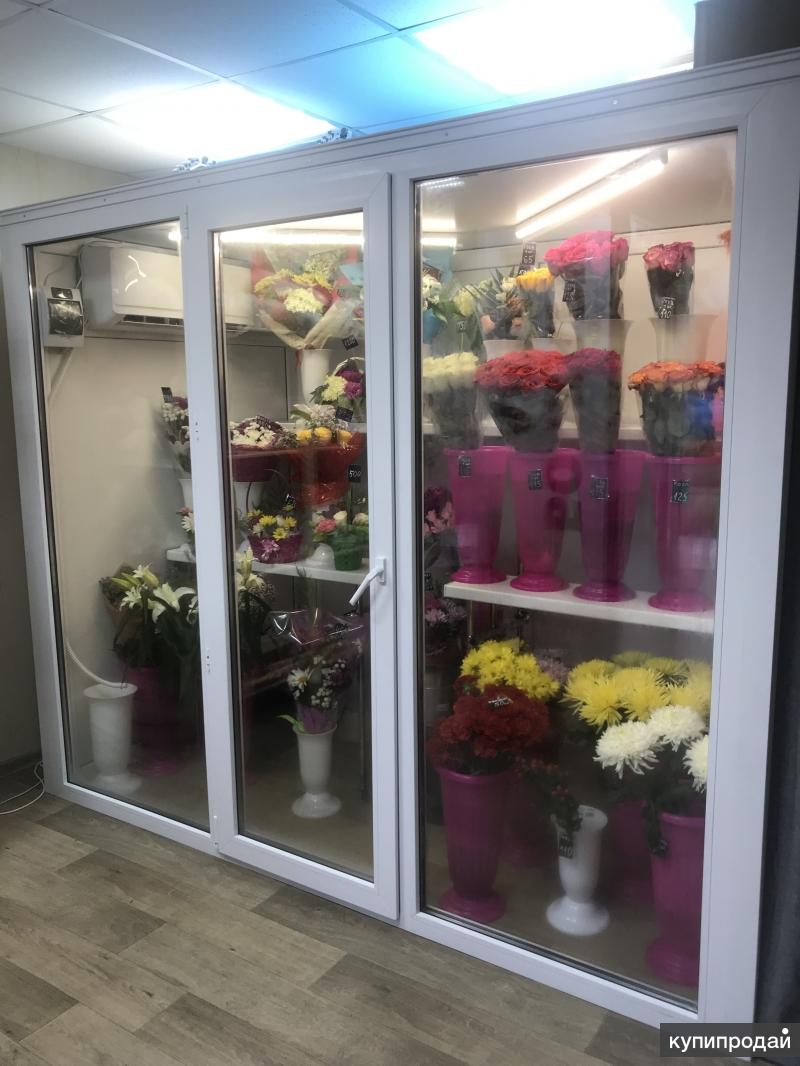 Купить готовый бизнес ростов на дону. Вместительный холодильник для цветов. Большой холодильник для цветов мяса. Цветочные магазины г.Омск. Мягкие игрушки, которые продаются в цветочных магазинах.