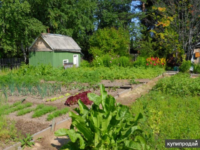 Дача Дырнос Купить Недорого Без Посредников