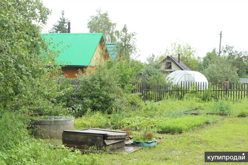 Дача тюмень. Популярные дачи Тюменской области. Свободная дача-в Тюмени .. Рябинка 2 ЗИЛ. Тюмени   дачи  участки    се.