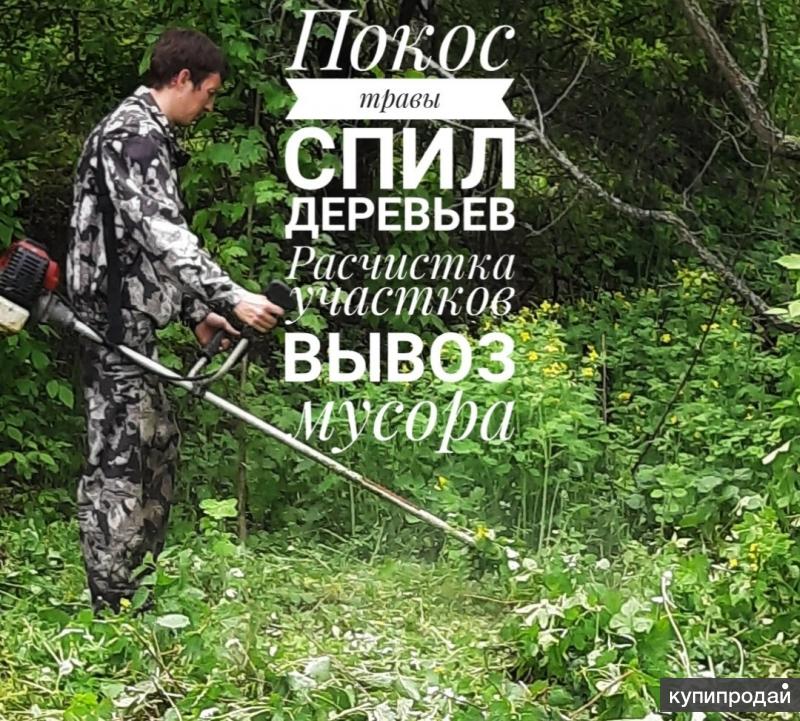 Покос травы спил деревьев картинки