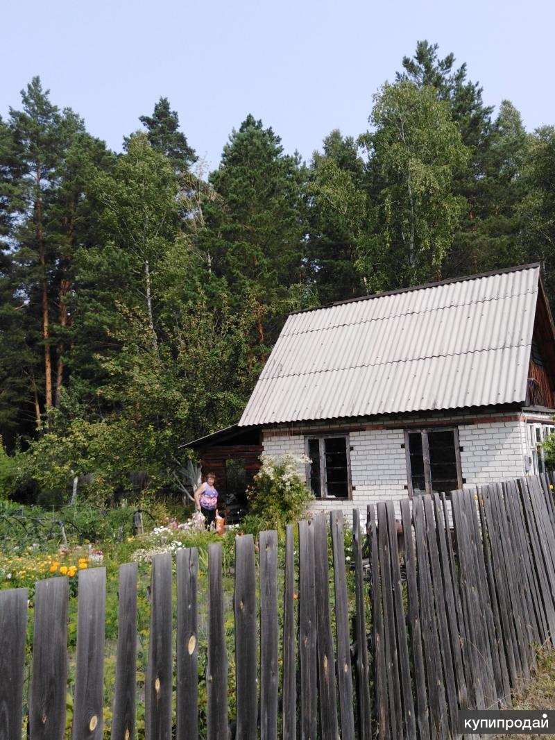 Дачи курган. Малиновка Курган. СНТ Малиновка Курган. Дачи в Кургане. СНТ Малиновка дачи Курган.