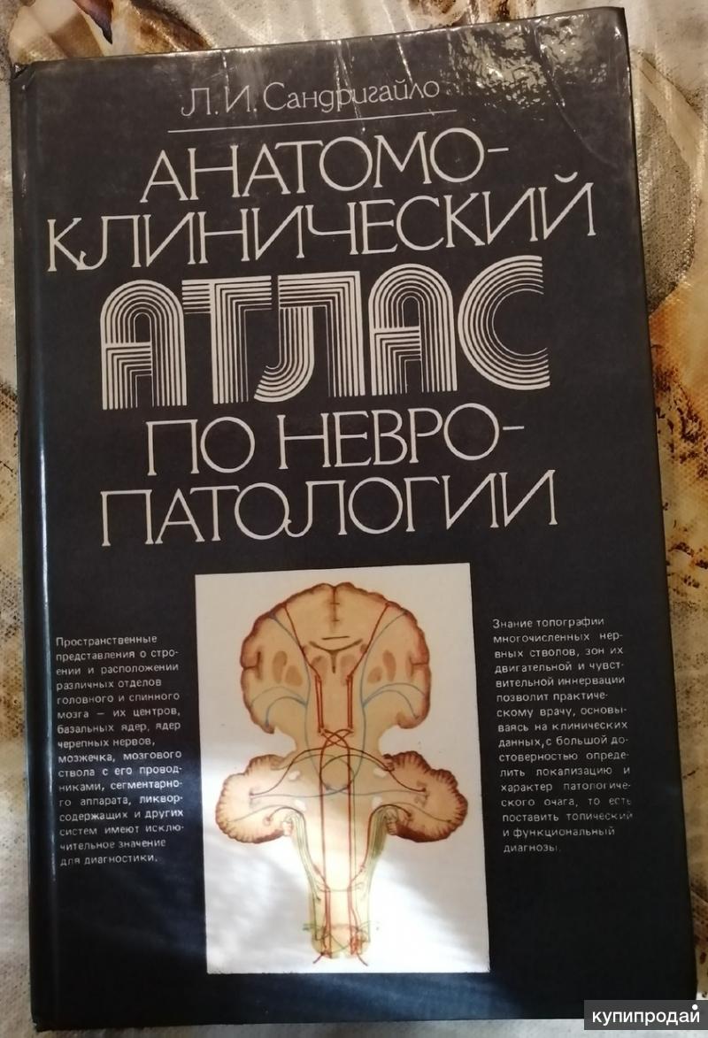 Купить Книгу Лицо Атлас Клинической Анатомии