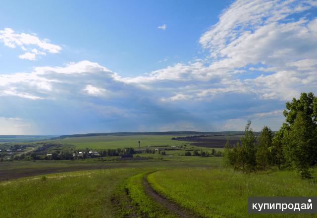 Погода в кротково