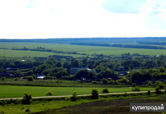 Погода в кротково