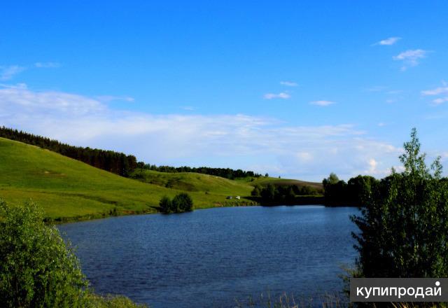 Погода в кротково