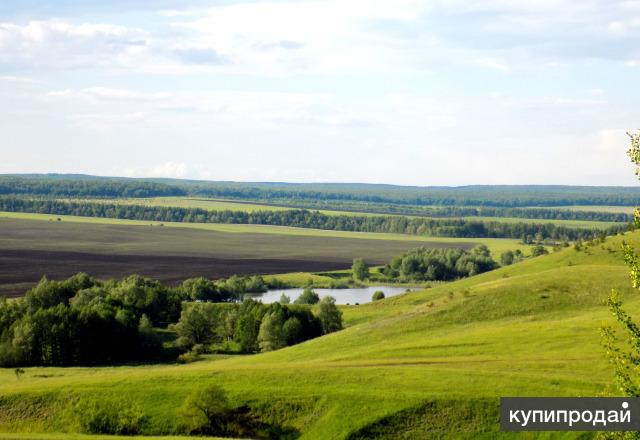 Погода в кротково