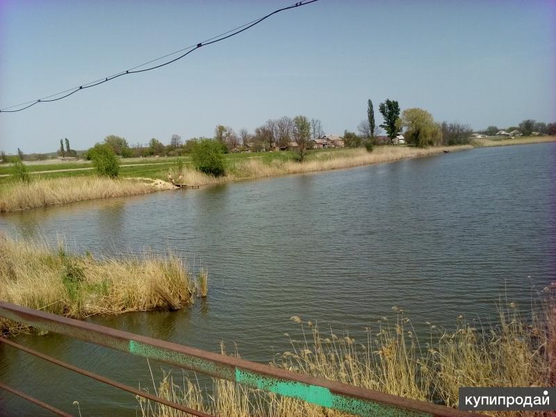 Погода село васильево шамшево. Ивано Шамшево Ростовская область.