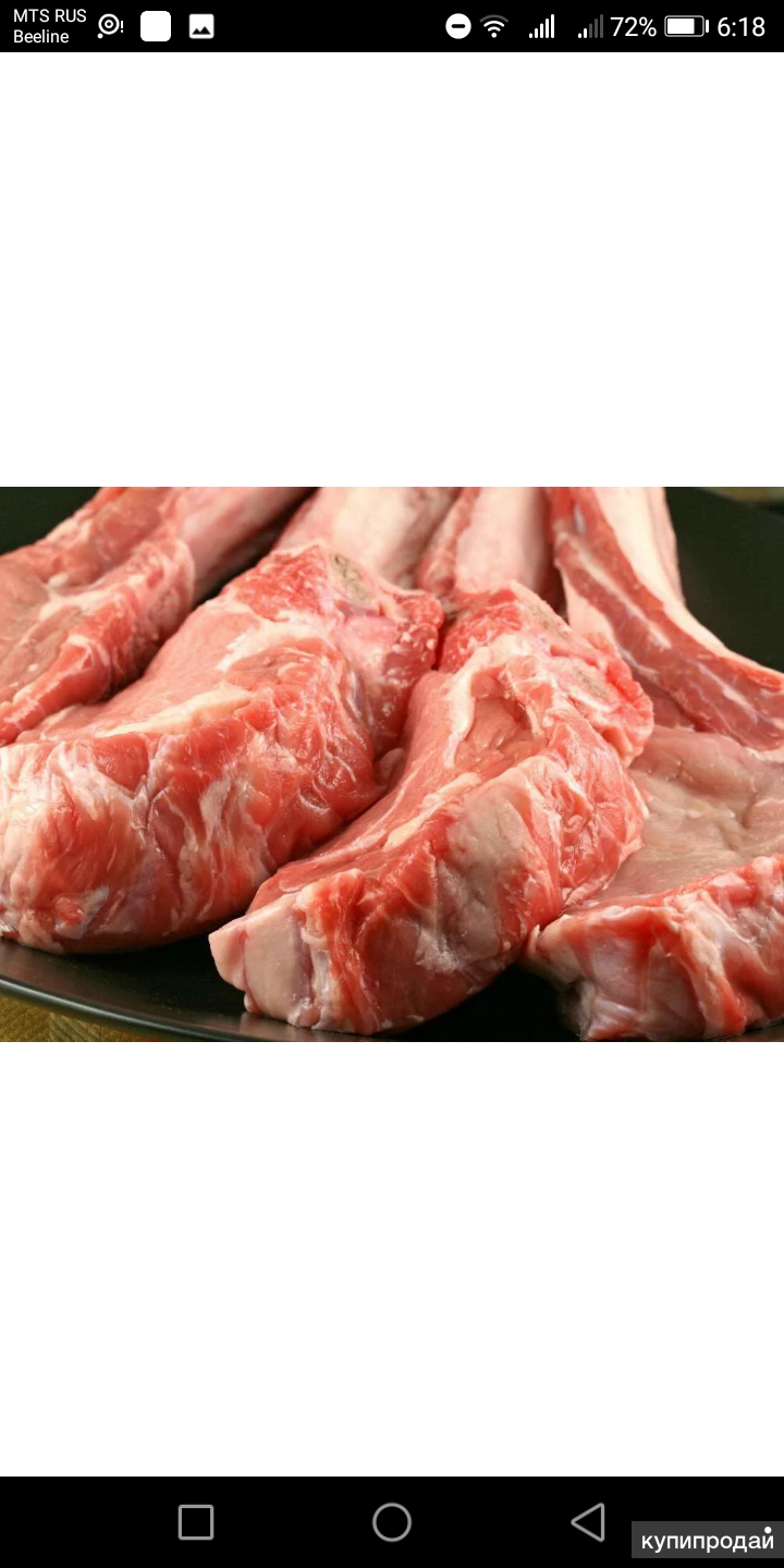 Купить свинину живым весом. Мясо свинина и баранина.