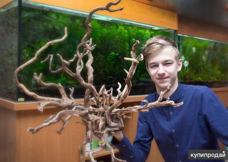 Коряги для аквариумов и террариумов, цетрария. в Симферополе