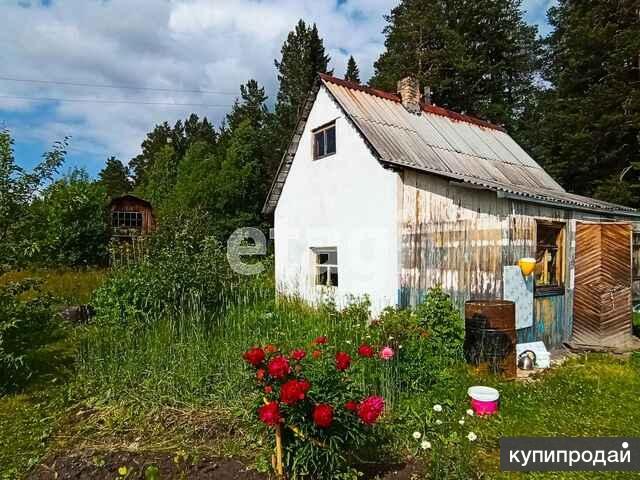 Фото Участок В Коллективном Саду