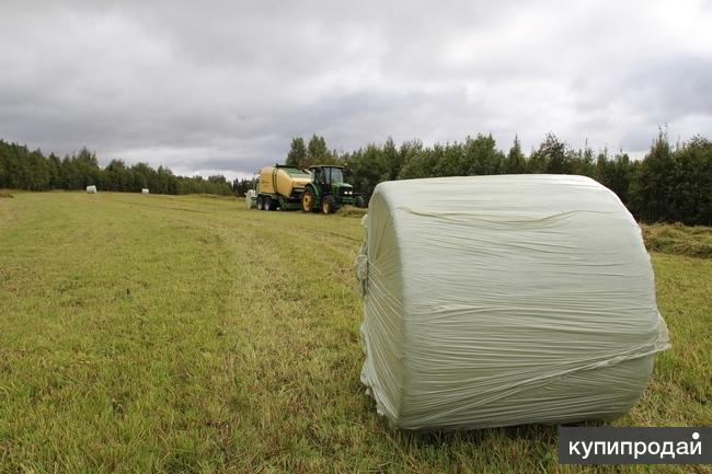 Купить Дом В Копачево Архангельской Области