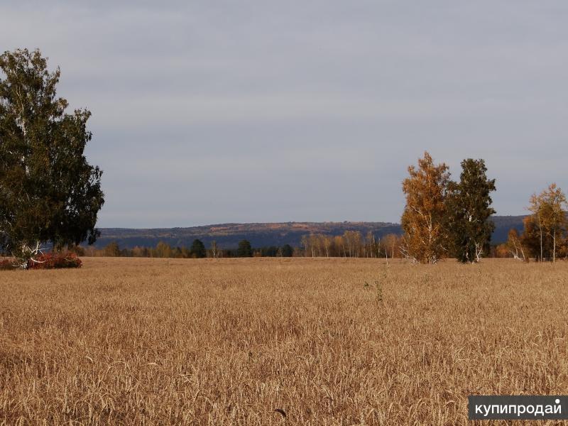 Купить Земельный Участок Земли В Юганце