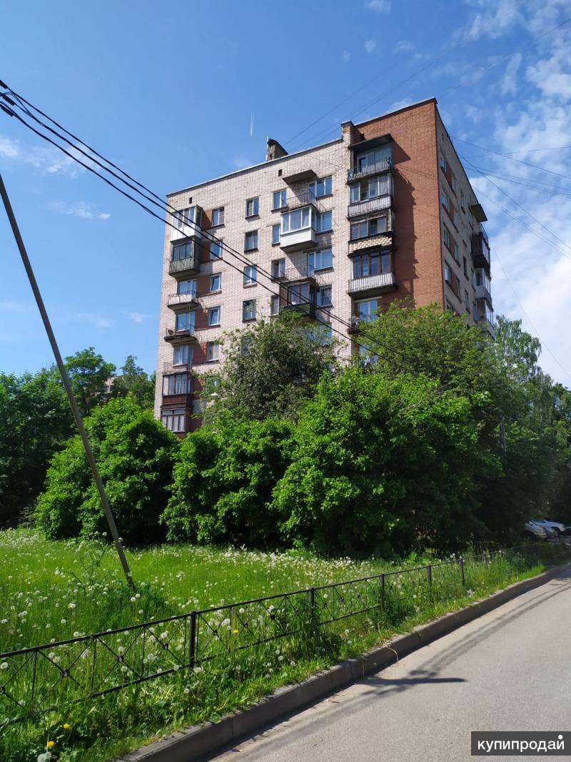 дыбенко д. цивилизация на неве. ул дыбенко санкт-петербург. ул дыбенко 21к3. улица дыбенко, 38к1.