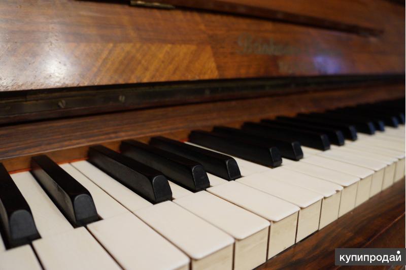 Настройка пианино в Троицке