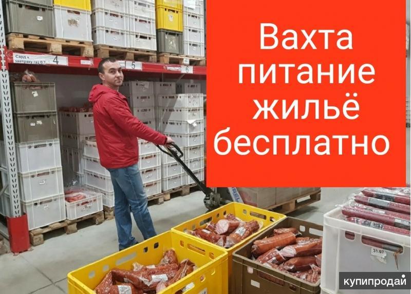 Грузчик на склад свежие вакансии. Грузчик на склад. Склад мясной продукции. Грузчик на склад мясной продукции. Грузчик на мясокомбинат.